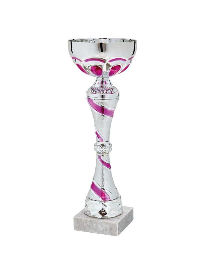 25/26 COPA CATALOGO
