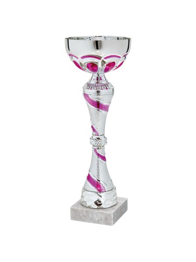 25/26 COPA CATALOGO