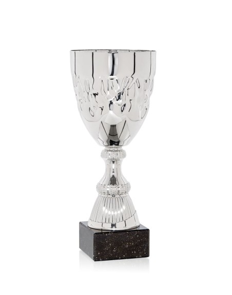 25/26 COPA CATÁLOGO
