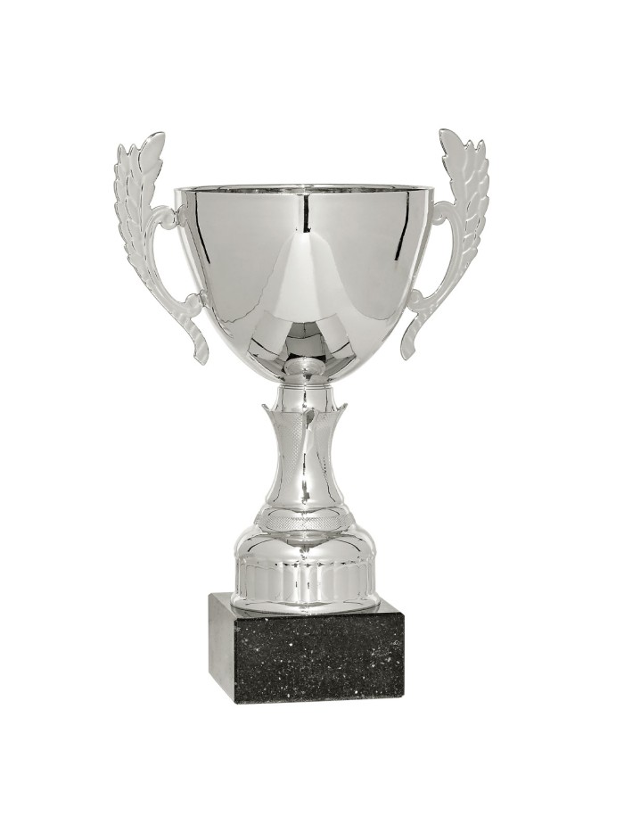 25/26 COPA CATÁLOGO