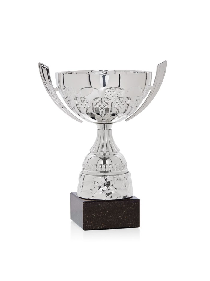 25/26 COPA CATÁLOGO