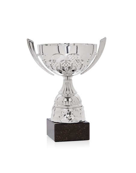 25/26 COPA CATÁLOGO