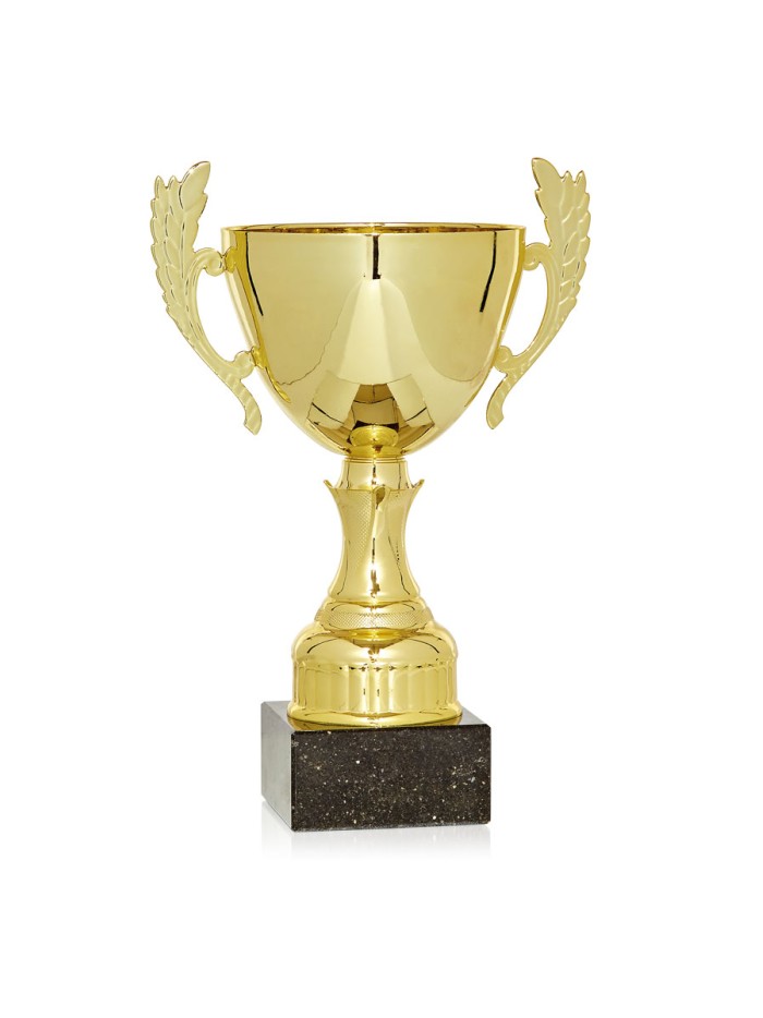 25/26 COPA CATÁLOGO
