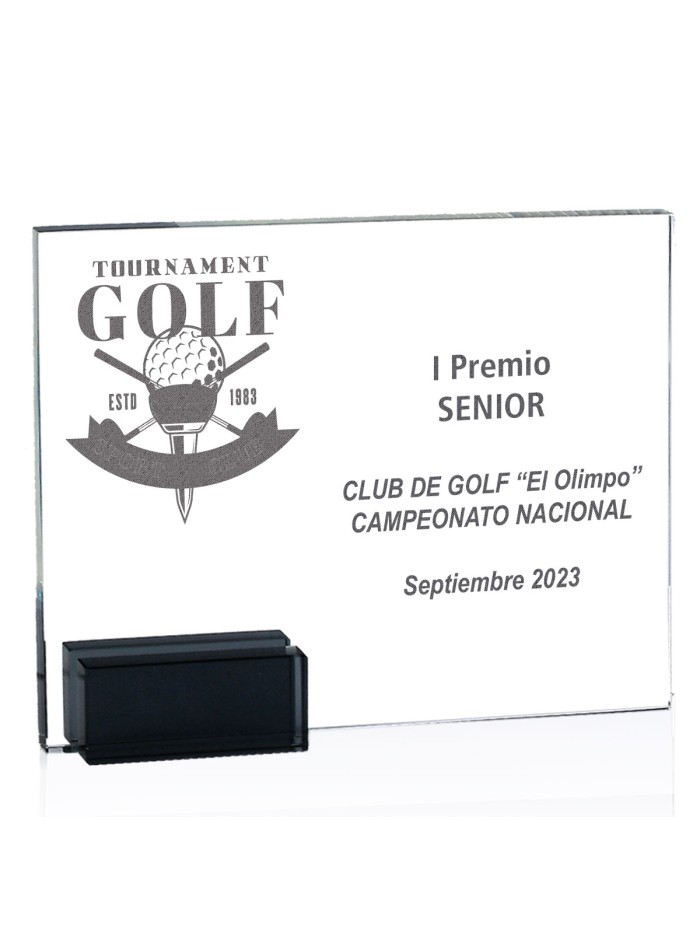 25/26 CRISTAL GRAB. LASER 24 x 19 CM