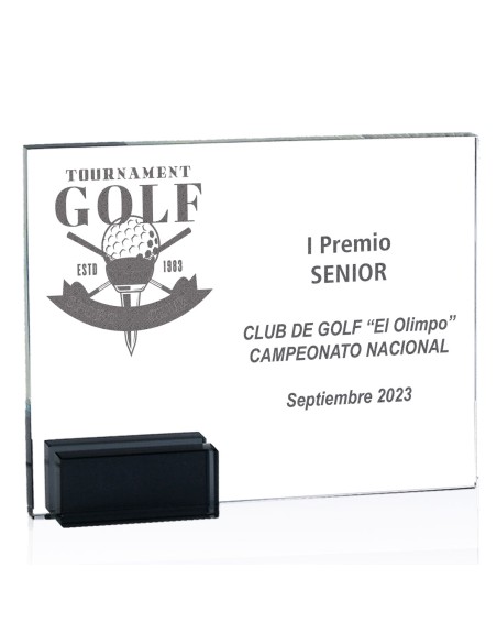 25/26 CRISTAL GRAB. LASER 24 x 19 CM