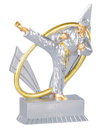 25/26  RESINA JUDO 12 cm