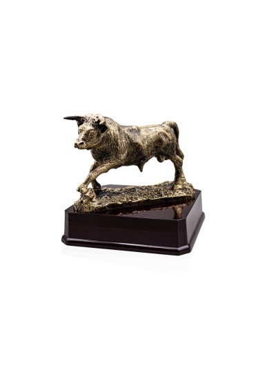 25/26  RESINA TAUROMAQUIA 16 X 16 CM