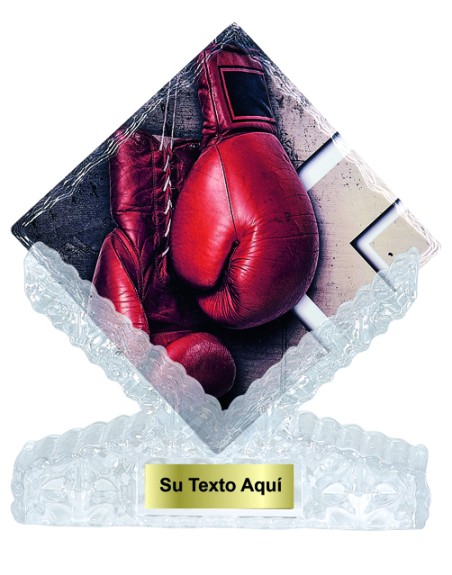 25/26  T. CERAMICA BOXEO 25 cm