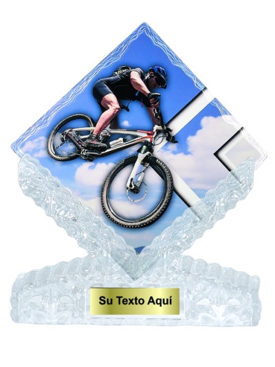 25/26  T. CERAMICA CICLISMO 25 cm