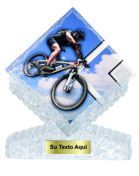 25/26  T. CERAMICA CICLISMO 25 cm