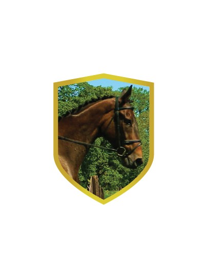 25/26 APLIQUE ALUMINIO CABALLO