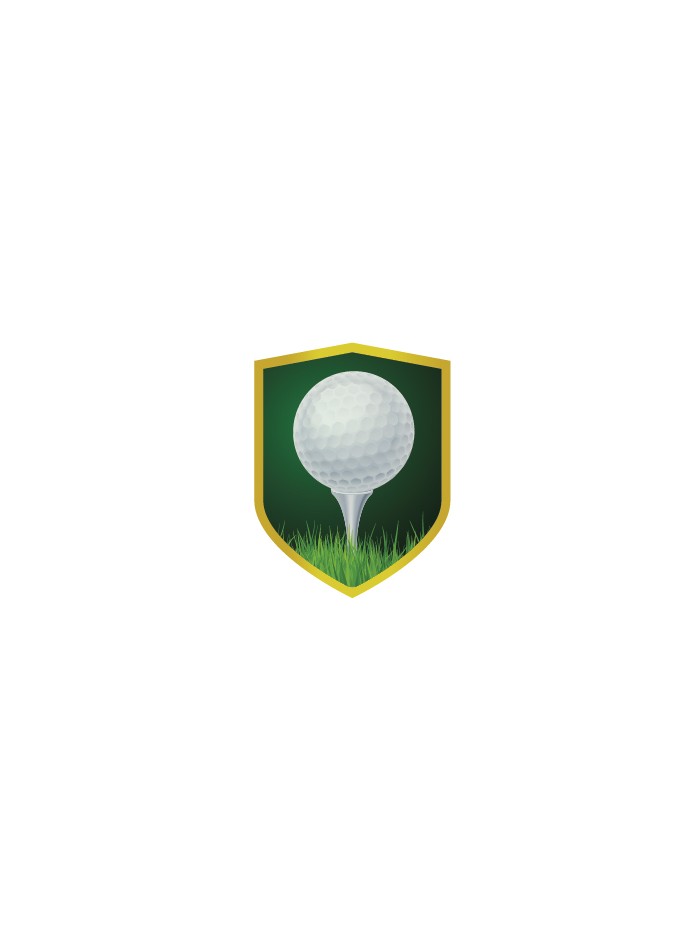 25/26 APLIQUE ALUMINIO GOLF