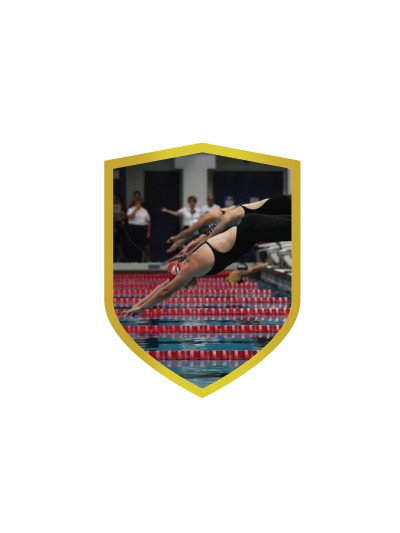 25/26 APLIQUE ALUMINIO NATACION