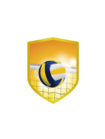 25/26 APLIQUE ALUMINIO VOLEIBOL