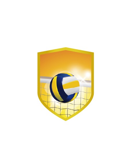 25/26 APLIQUE ALUMINIO VOLEIBOL