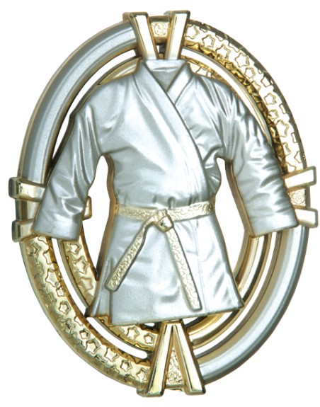 25/26 APLIQUE ABS KARATE