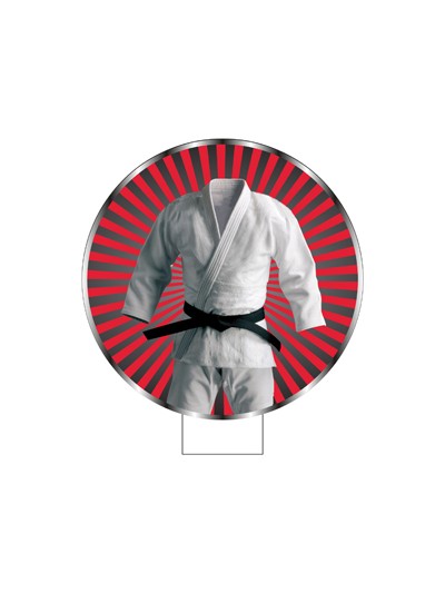 25/26 APLIQUE MDF KARATE