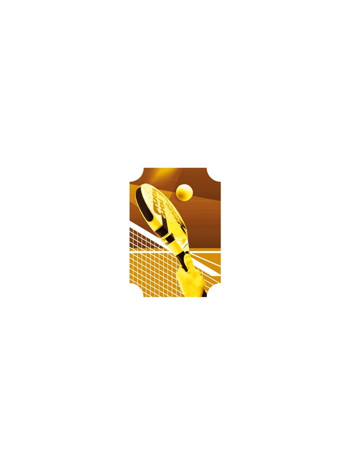 25/26 APLIQUE MDF PADEL