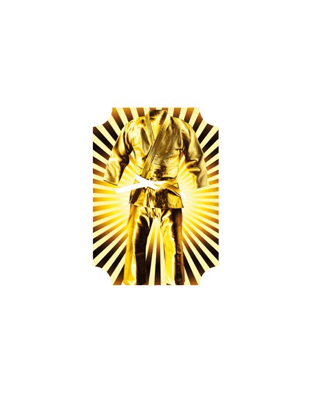 25/26 APLIQUE MDF KARATE