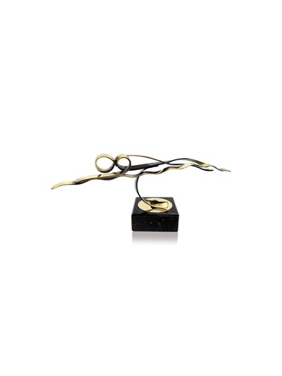25/26 TROFEO SOLDART NATACION 12 cm