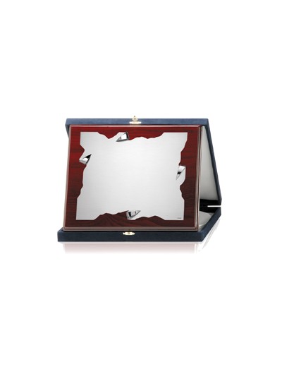 PLACAS SOLDART CON ESTUCHE INCLUIDO 29x23  cm