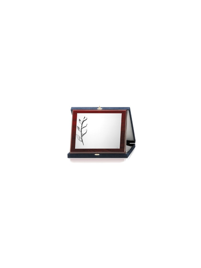 PLACAS SOLDART CON ESTUCHE INCLUIDO 24x19  cm
