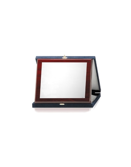 PLACAS SOLDART CON ESTUCHE INCLUIDO 24x19  cm