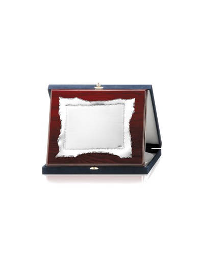 PLACAS SOLDART CON ESTUCHE INCLUIDO 24x19  cm