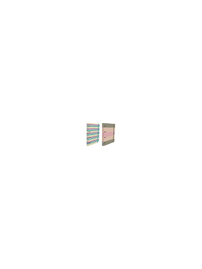 Carpeta 4 anillas oxford europeanbinder tapa extradura din a4 + recambio 120 hojas horizontal