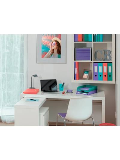 Archivador de palanca esselte colour breeze carton forrado pvc din a4 lomo 75 mm color coral