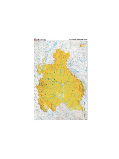 Mapa mudo color din a4 castilla-leon fisico