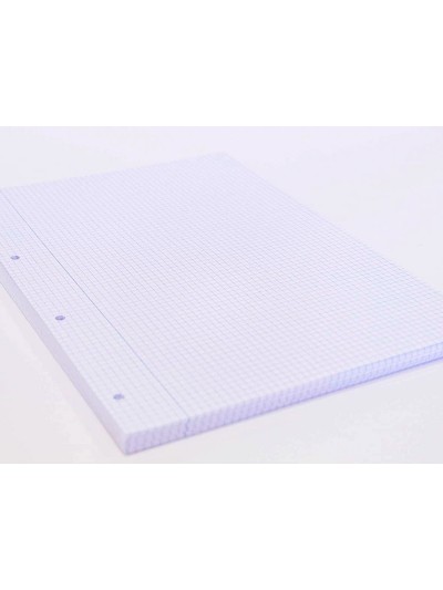 Recambio oxford a4 100 + 20 hojas gratis 90 gr cuadro 4mm 4 taladros