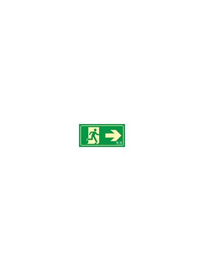 Pictograma syssa señal de salida emergencia flecha derecha en pvc fotoluminiscente 320x160 mm