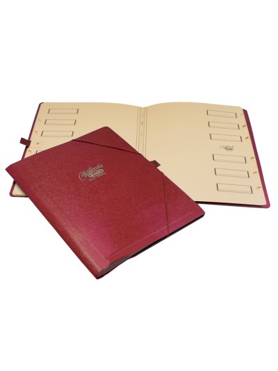 Carpeta clasificador carton compacto saro folio roja 12 departamentos