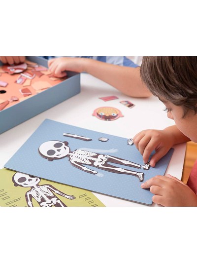 Juego apli didactico magnetico el cuerpo humano