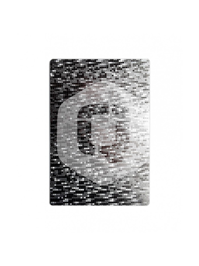 Lamina trasera de personalizacion qcharx plata relieve Lamina trasera de personalizacion qcharx plata relieve