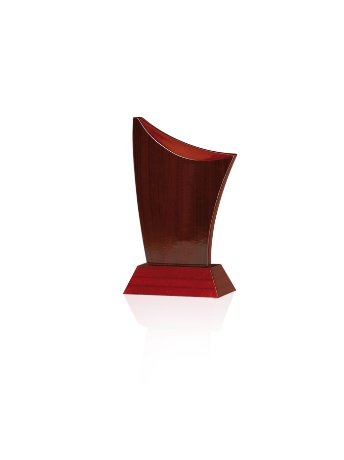 25/26 MADERA GRAB. LASER/UVI 22 CM