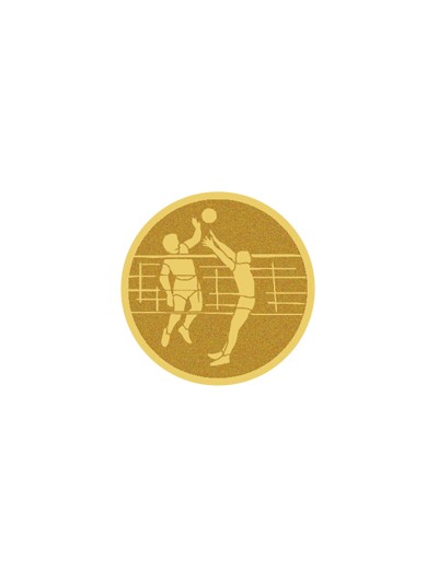 25/26 DISCO DORADO AUTOADHESIVA VOLEIBOL Ø 2,5 CM