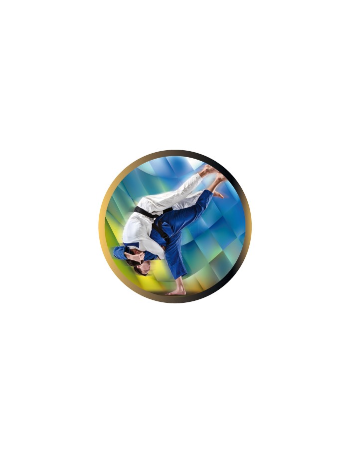 25/26 DISCO EPOXY JUDO Ø 2,5 CM