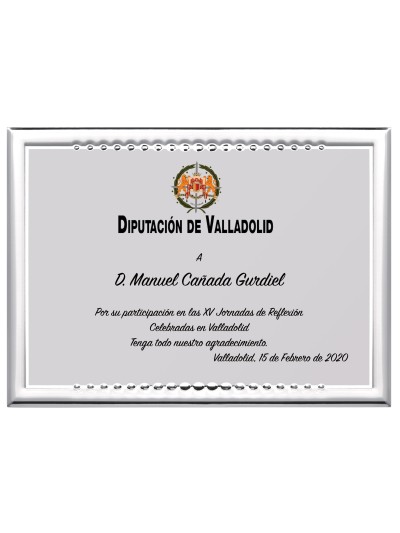25/26 SOLO PLACA. 18 x 13 CM (E46)(MAD61, MAD12,MAD141,MAD82,MAD51)