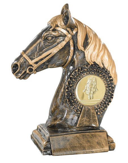 25/26 RESINA  EQUITACION 23 CM