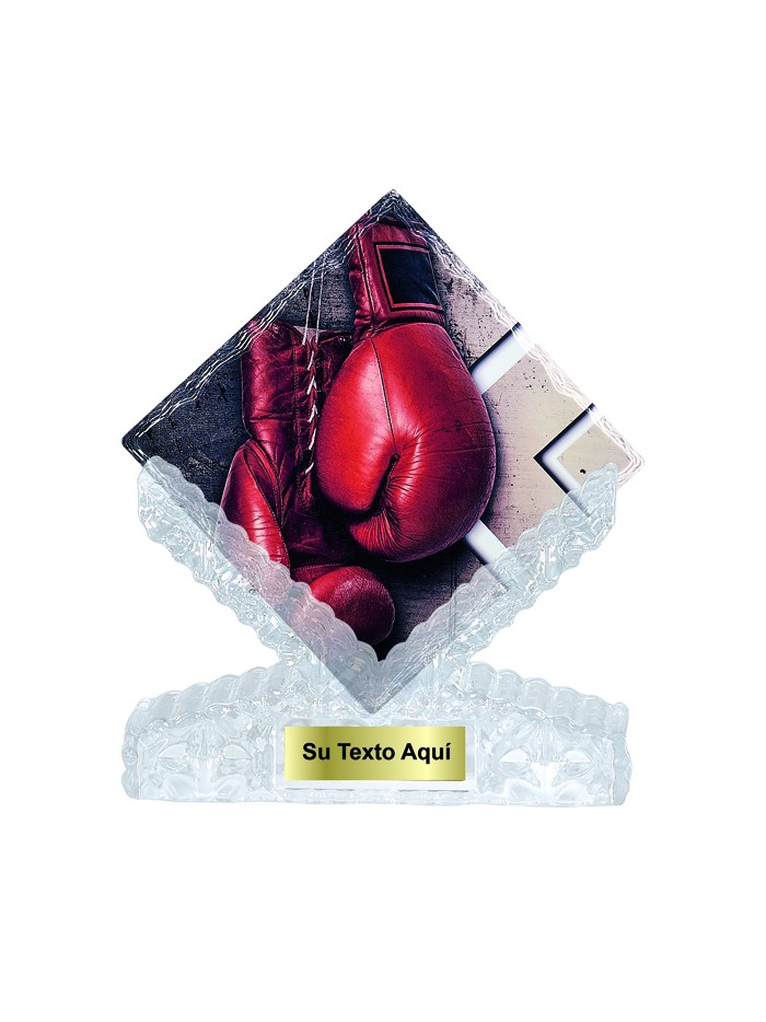 25/26  T. CERAMICA BOXEO 25 cm