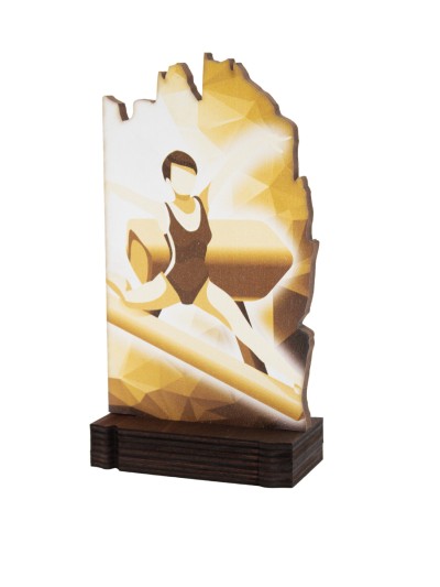 25/26 TROFEO MADERA G. ARTISTICA . 19 CM