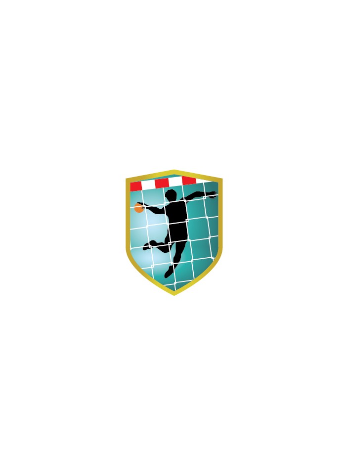 25/26 APLIQUE ALUMINIO BALONMANO