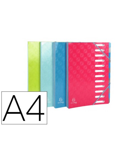 Carpeta exacompta harmonika clasificadora fuelle 12 departamentos con gomas carton compacto colores