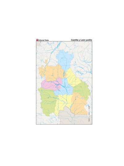 Mapa mudo color din a4 castilla-leon politico
