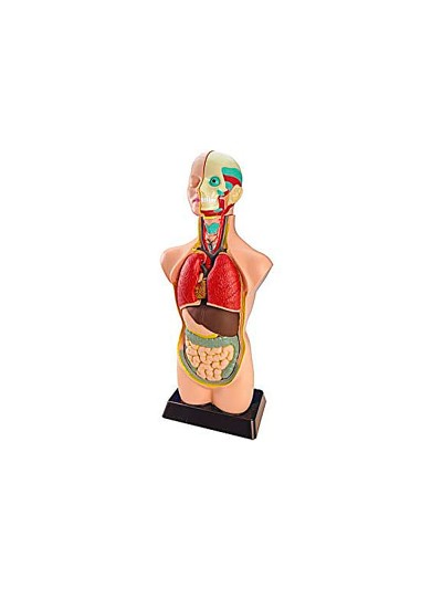 Juego miniland anatomia humana 11 piezas 50 cm
