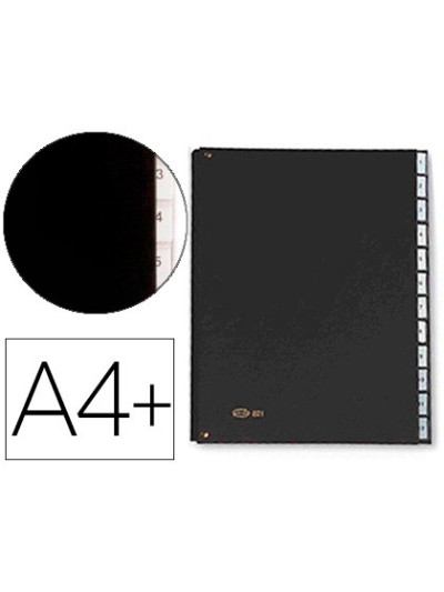 Carpeta clasificadora fuelle pardo carton compacto folio 12 departamentos visor doble personalizables color negro