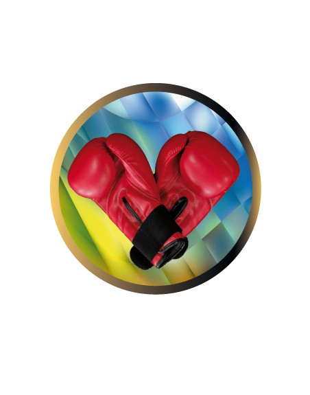 25/26 DISCO EPOXY BOXEO Ø 2,5 CM