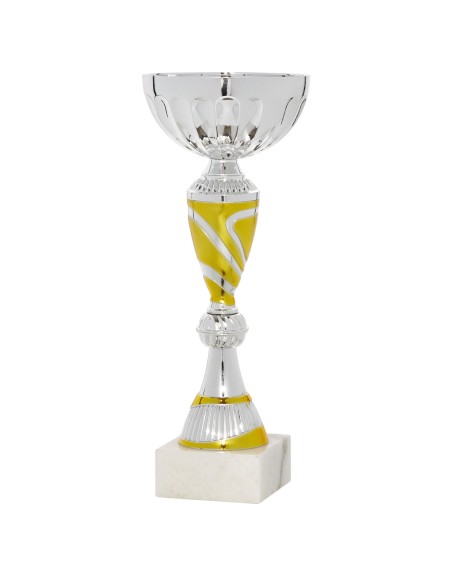 25/26 COPA CATALOGO